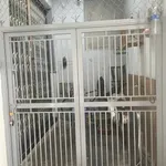 Bán nhà hẻm 41,7m2 2 phòng ngủ Phường Quang Trung Quy Nhơn 1 tỷ 800 triệu - Ảnh thu nhỏ 2