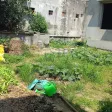 Bán đất nhà vườn không gian yên tĩnh giá siêu tốt - Ảnh thu nhỏ 9