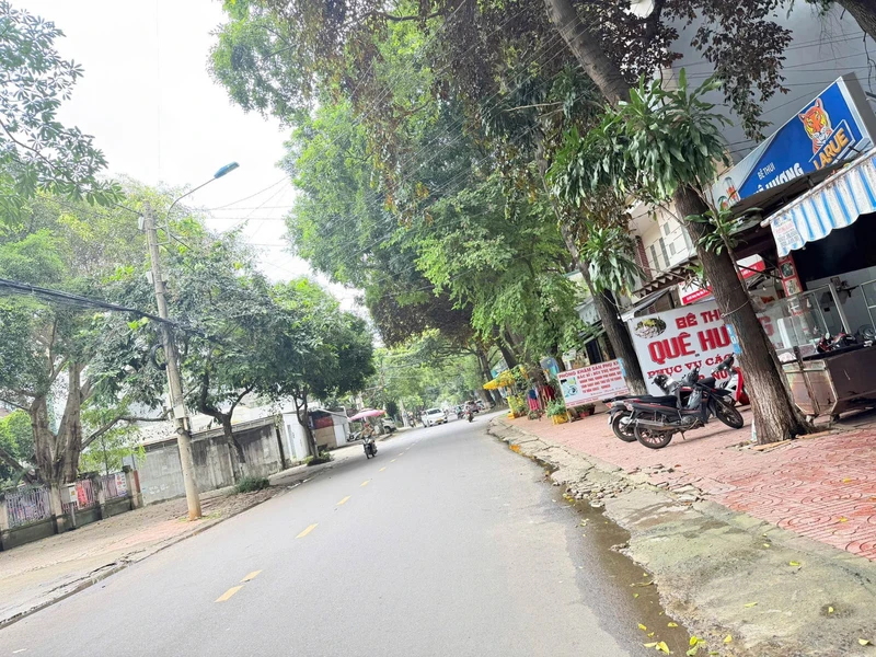 Bán nhà mặt tiền Trương Công Định 98,5m² Bà Rịa - Vũng Tàu 7,5 tỷ