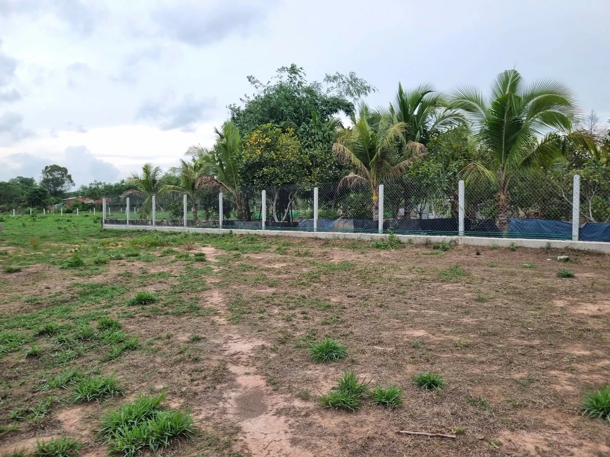 Bán đất thổ cư 5x65m Phước Thạnh Tây Ninh 330 triệu - Ảnh thu nhỏ 3