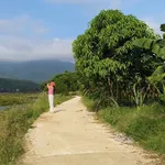 Bán đất Kim Bôi 11.704m2 gần 1 triệu/m2 - Ảnh thu nhỏ 3