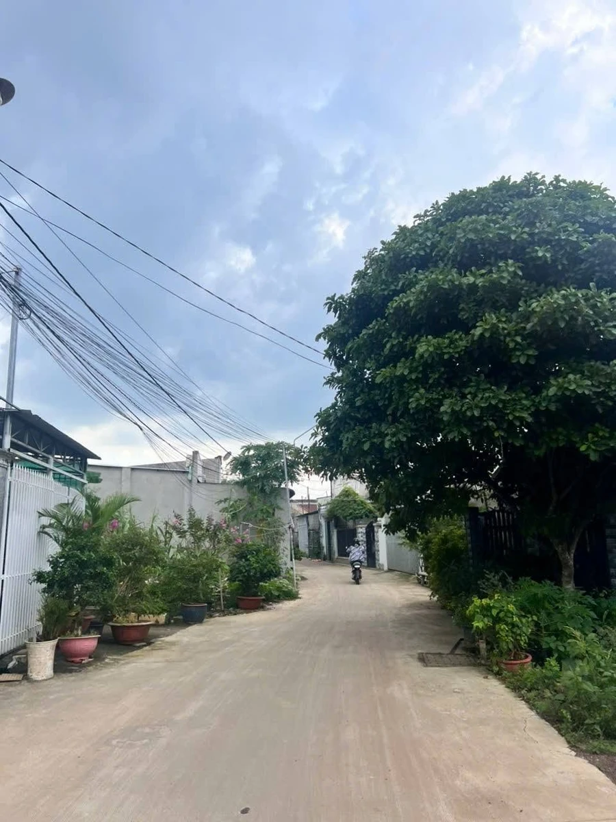 Bán đất nền Bàu Trâm Long Khánh 115m², sổ riêng 1 tỷ 290 triệu - Ảnh thu nhỏ 3