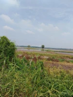 Tây Ninh - 22 tỷ MT QL22B. 6000m2 MT suối 1814.6m2 thổ cư. Ngang 35x60m. Tiện xây nhà xưởng CHDV - Ảnh thu nhỏ 4