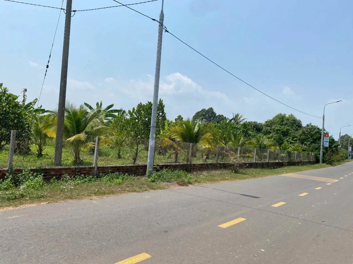 Bán đất 1,9 hecta Xã Phú Lý Đồng Nai - Ảnh thu nhỏ 5