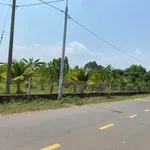 Bán đất 1,9 hecta Xã Phú Lý Đồng Nai - Ảnh thu nhỏ 5