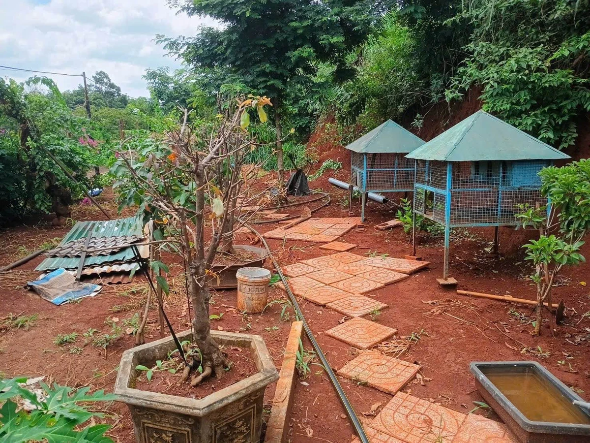 Bán đất vườn Thôn 6 Phạm Ngũ Lão 1039m², 2 tỷ 450 triệu - Ảnh thu nhỏ 5