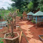 Bán đất vườn Thôn 6 Phạm Ngũ Lão 1039m², 2 tỷ 450 triệu - Ảnh thu nhỏ 5