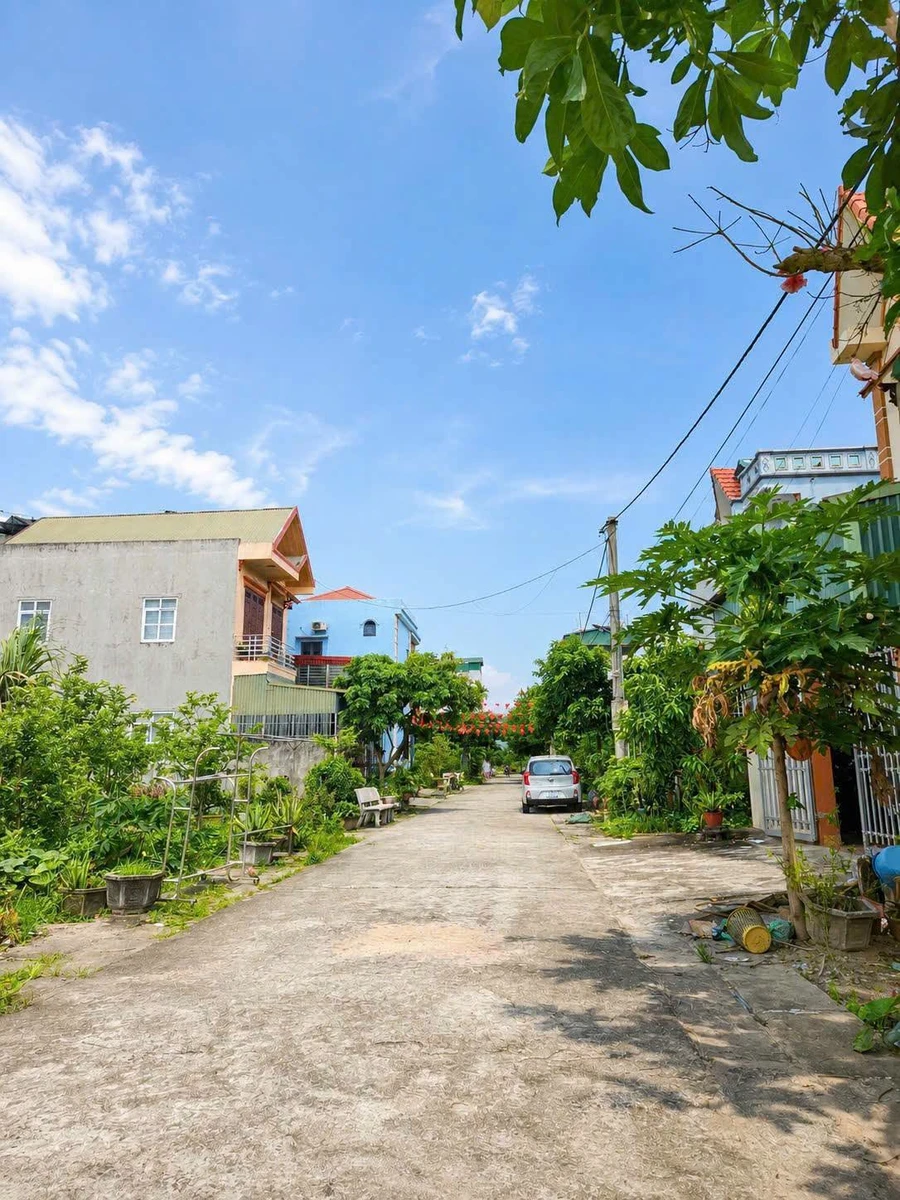 Bán đất 96m2 mặt tiền 6m gần khu đô thị Star Tân Trường - Ảnh thu nhỏ 3