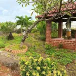 Bán vườn sinh thái 9.200m2 có hồ cá tại Tân An Vĩnh Cửu - Ảnh thu nhỏ 4