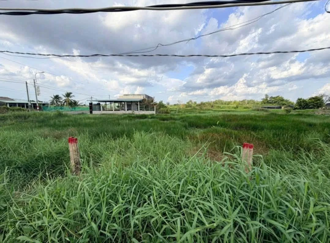Bán đất thổ cư mặt tiền đường nhựa Nguyễn Văn Mỹ, Bình Tịnh, Tân Trụ, 125m2, 679 triệu - Ảnh thu nhỏ 2