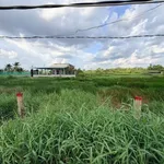 Bán đất thổ cư mặt tiền đường nhựa Nguyễn Văn Mỹ, Bình Tịnh, Tân Trụ, 125m2, 679 triệu - Ảnh thu nhỏ 2
