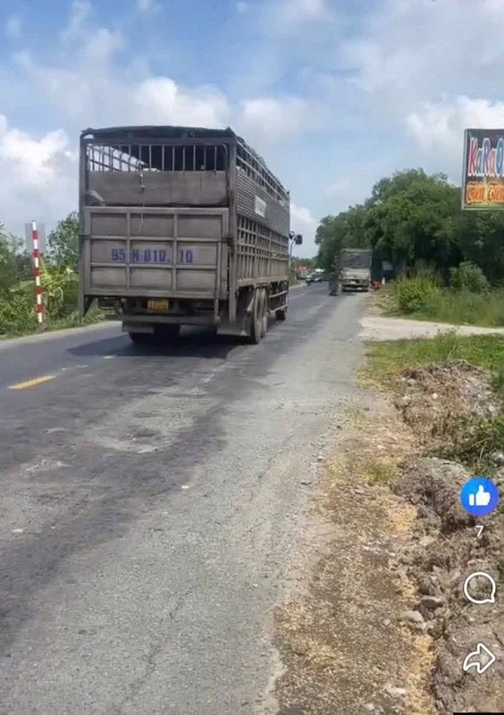 Bán đất 1 công mặt tiền quốc lộ 62 Long An