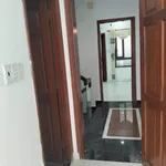 Cho thuê nhà nguyên căn 4PN 60m² Quang Trung P8 Gò Vấp - Ảnh thu nhỏ 5