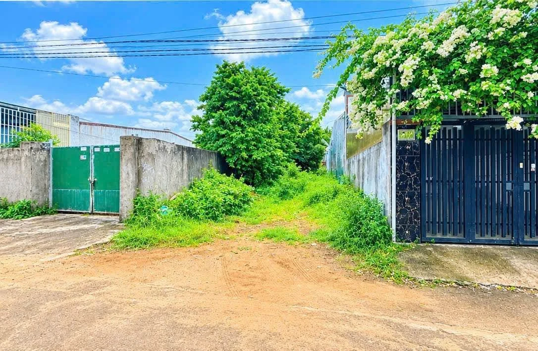 Bán lô đất 175m² Phạm Ngũ Lão, Nhà Bè, 2 tỷ 250 - Ảnh thu nhỏ 2