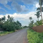 Bán đất mặt tiền Quang Trung 2 sào, Bình Chánh - Ảnh thu nhỏ 1