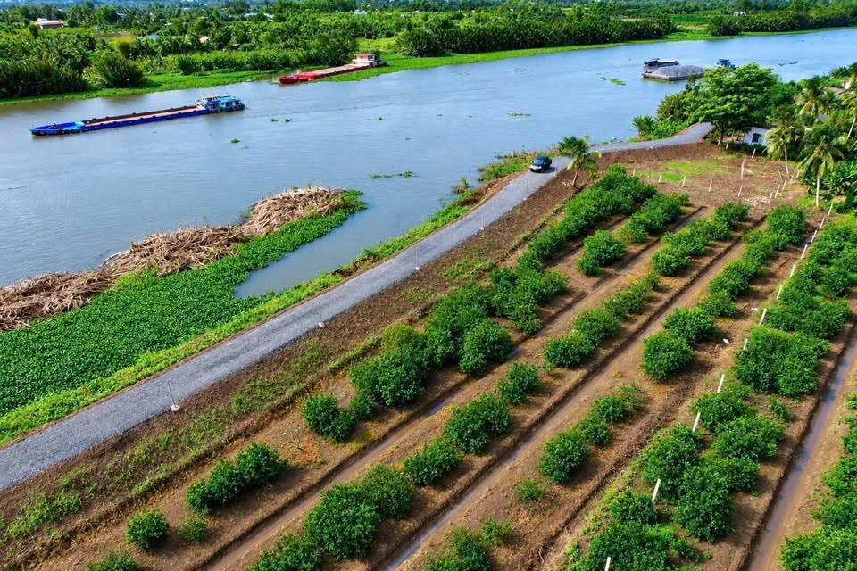 Bán đất vườn 500m² view sông Vàm Cỏ Đông, xã Thạnh Hòa (Thạnh Lợi), Tây Ninh, giá 999 triệu/lô - Ảnh thu nhỏ 2