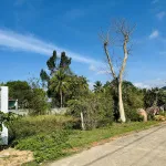 Bán đất 100% thổ cư Búng Gội, 494m2 giá 4.3tỷ, ngang 16.5m view núi đẹp, về sân bay Phú Quốc 20phut - Ảnh thu nhỏ 10