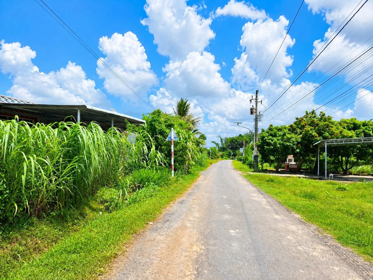 Bán đất 5x35m full thổ Phước Thạnh Tây Ninh 750 triệu - Ảnh 1