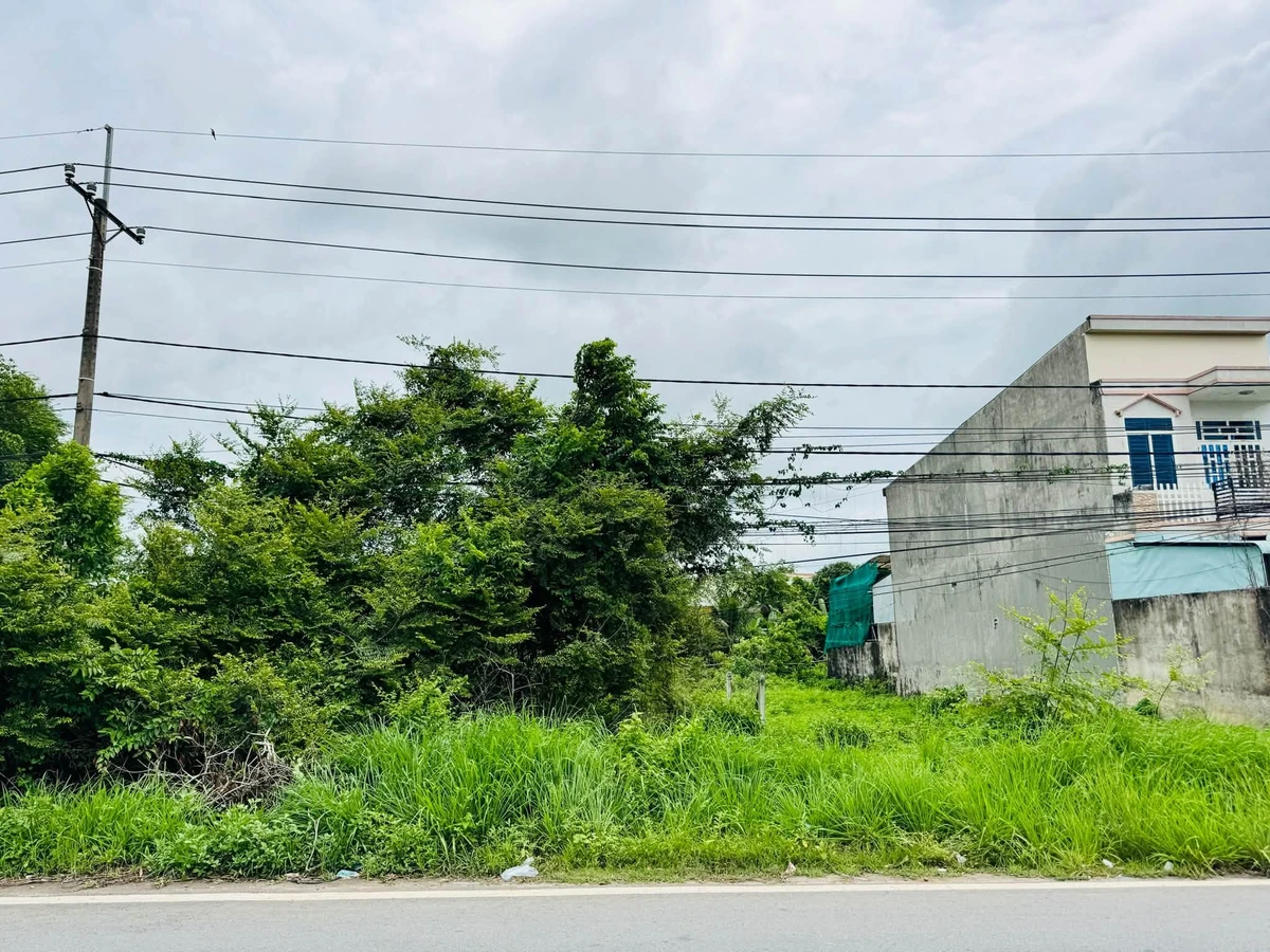 Bán đất nền 250m2 Tân An Hội Củ Chi mặt tiền Nguyễn Văn Khạ - Ảnh thu nhỏ 4