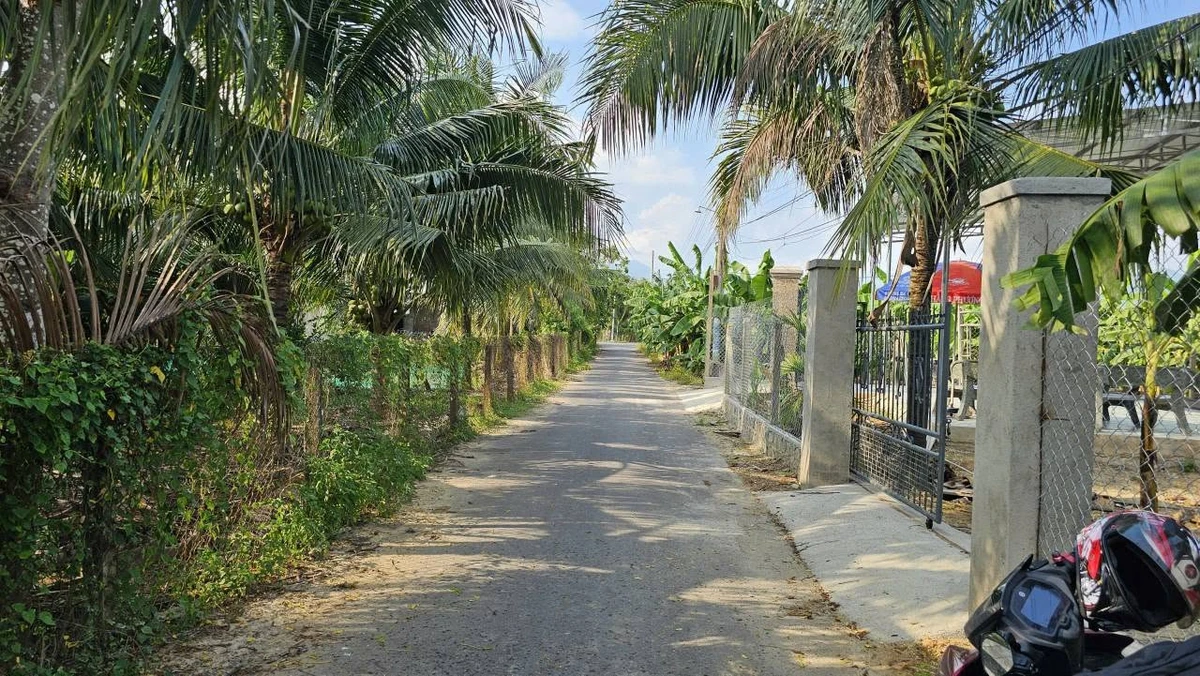 Bán đất mặt tiền 338m2 Diên Thọ Khánh Hòa 779 triệu - Ảnh thu nhỏ 3