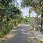 Bán đất mặt tiền 338m2 Diên Thọ Khánh Hòa 779 triệu - Ảnh thu nhỏ 3