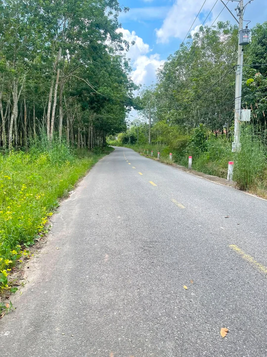 Bán đất Long Nguyên 429m2, giá 300 triệu, gần KCN Bàu Bàng - Ảnh 1