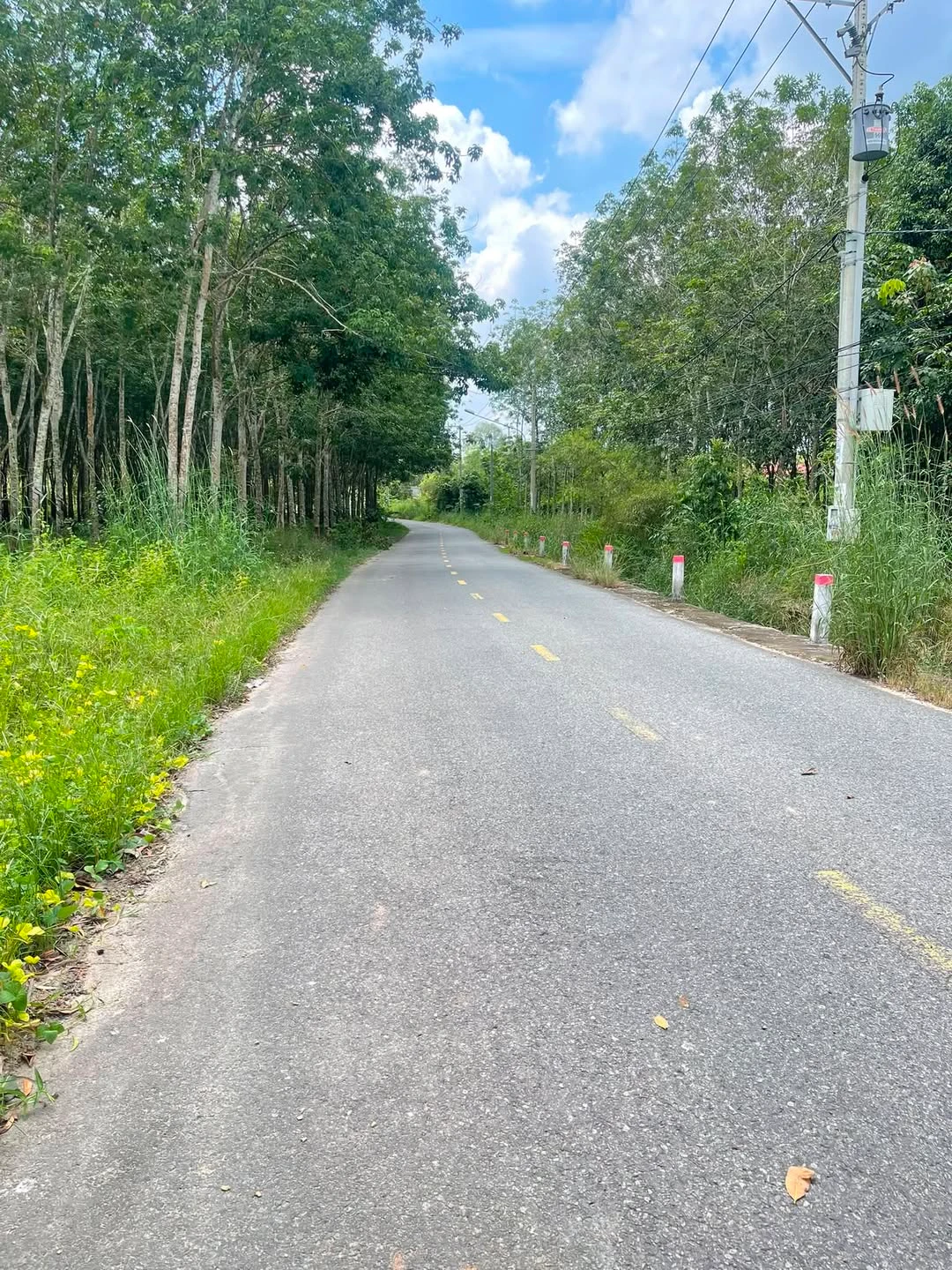 Bán đất Long Nguyên 429m2, giá 300 triệu, gần KCN Bàu Bàng - Ảnh 1