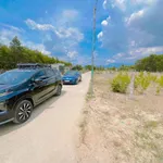 Bán lô đất 262m² Khánh Hiệp, Cần Thơ - Ảnh thu nhỏ 4