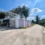 Bán nhà vườn Hàm Thắng 1000m² (300m² thổ cư) 2 tỉ 7 - Ảnh thu nhỏ 2