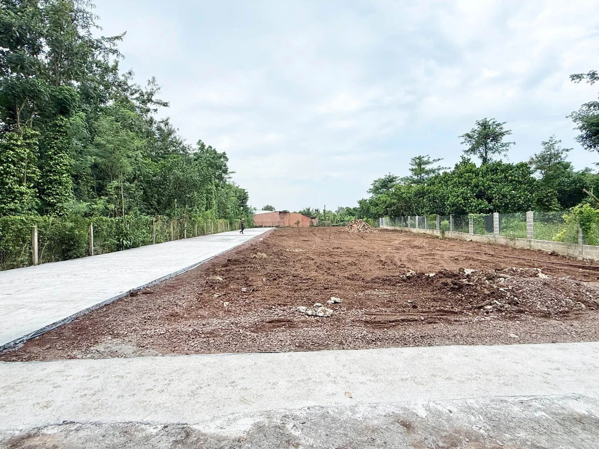 Bán nền đất thổ cư sổ riêng 100m² Quận 12 - Ảnh thu nhỏ 3