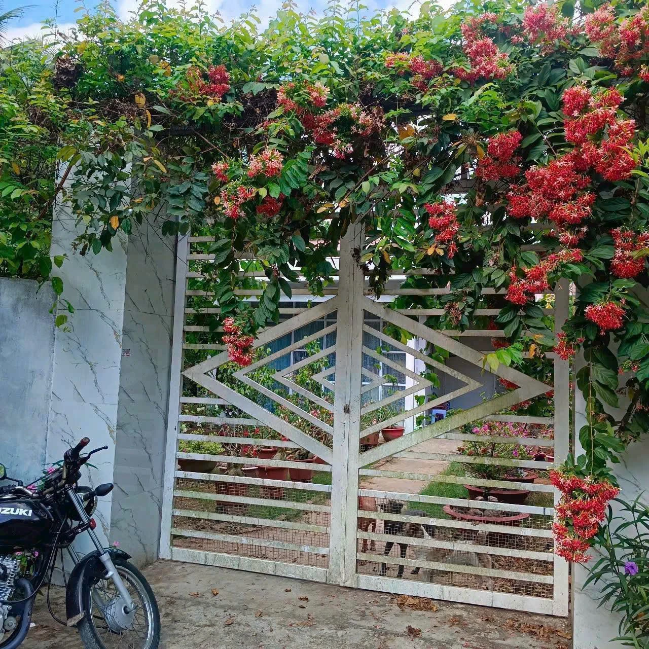 Bán đất 2500m2 tại Thị trấn Châu Thành, Tiền Giang, giá 3 tỷ - Ảnh 1
