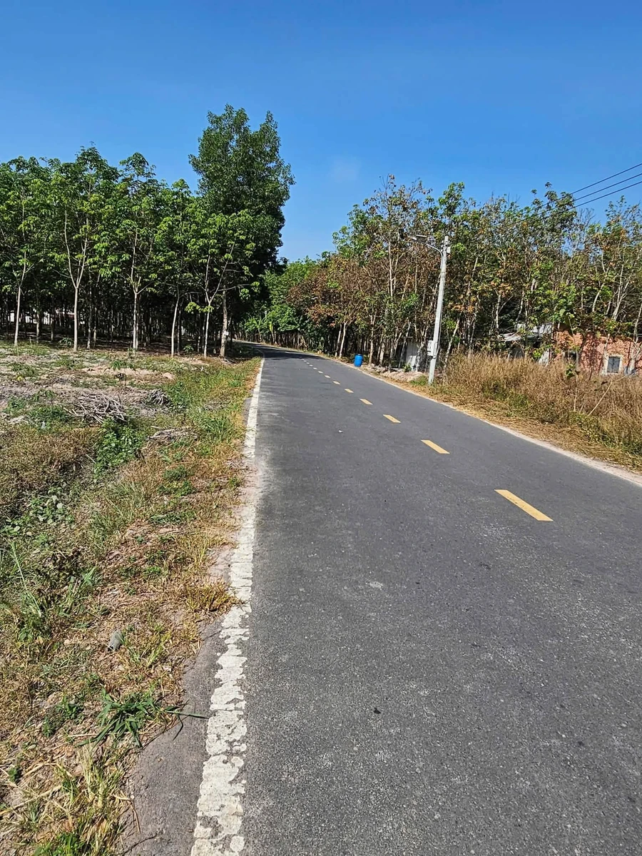 Bán đất Nhựa Tân Bình 2025 m², 4 tỷ - Ảnh thu nhỏ 4