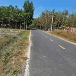 Bán đất Nhựa Tân Bình 2025 m², 4 tỷ - Ảnh thu nhỏ 4