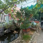 Bán nhà 150m² 2PN mặt tiền Hùng Vương, giá 820 triệu - Ảnh thu nhỏ 3