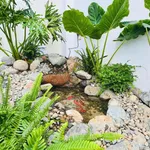 Bán nhà Diên Khánh mới xây thiết kế hiện đại, gần bến xe phía Nam - Ảnh thu nhỏ 6