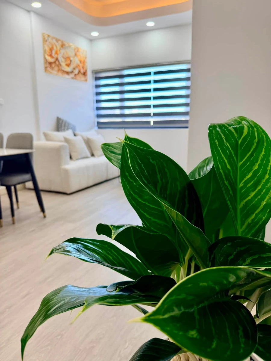 Bán căn hộ 2 phòng 58m² Hà Quang 1 giá 2,69 tỷ - Ảnh thu nhỏ 4