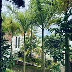 Bán nhà phố 2 tầng 96m2 đường Nguyễn Văn Trỗi, Phường 2, Đà Lạt giá 8,5 tỷ - Ảnh thu nhỏ 1