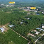 Bán đất mặt tiền Nhánh DT751, Chơn Thành, 279m2, 350 triệu - Ảnh thu nhỏ 2