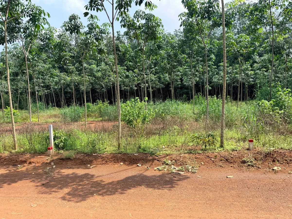 Bán đất Tân Hoà Đồng Phú 4.000 m², giá hơn 400 triệu - Ảnh thu nhỏ 3