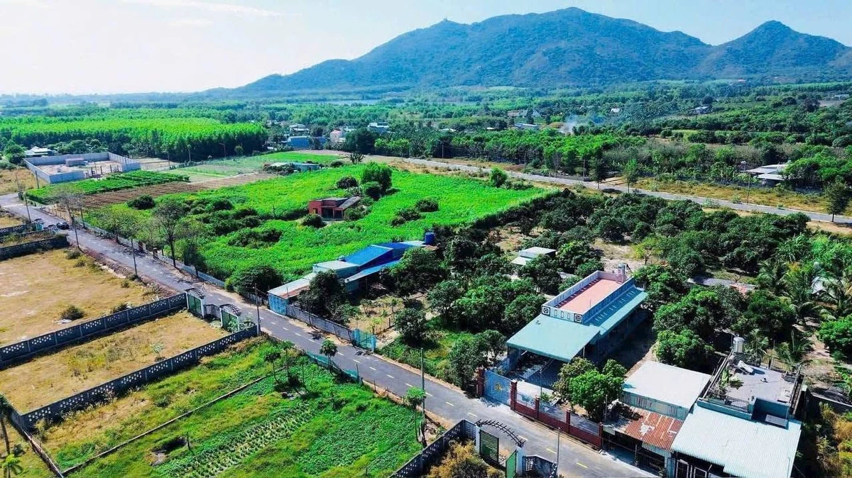 Bán vườn xoài Phước Hải, BRVT, 2000 m², 7,2 tỷ - Ảnh thu nhỏ 2