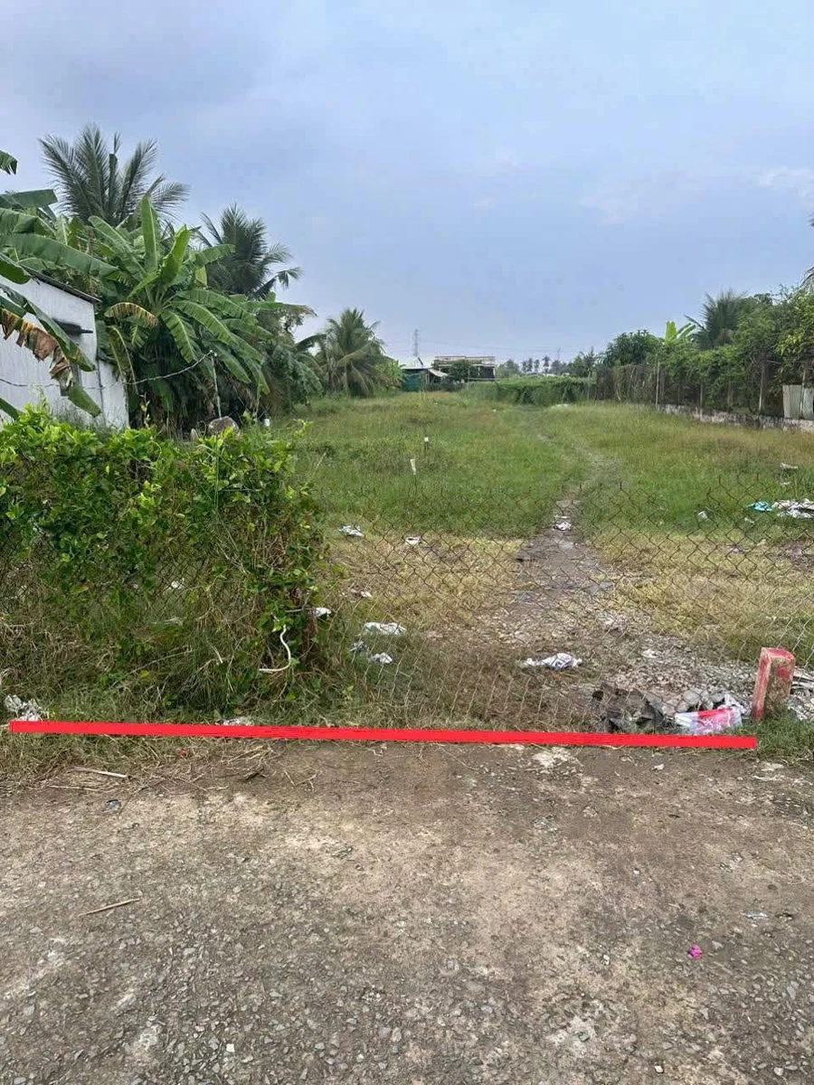 Bán đất lúa 1100m² Châu Thành Long An, 1 tỷ 150 triệu - Ảnh thu nhỏ 2