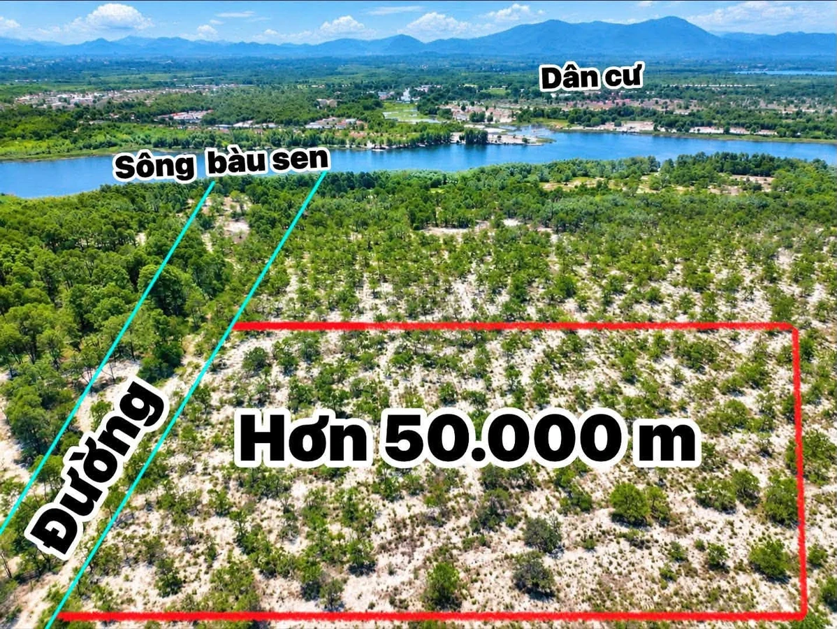 Bán đất rừng sản xuất 50.000 m2 tại Phong Thái, Huế - Ảnh 1