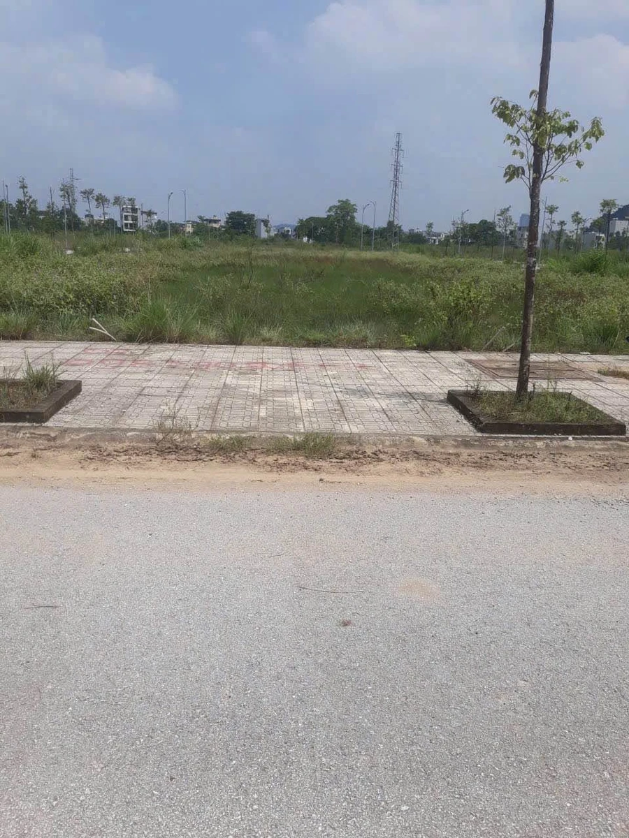 Bán 2 lô đất liền nhau 90m²/lô tại Thanh Hóa - Ảnh thu nhỏ 3