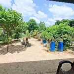 Bán đất mặt tiền Nguyễn Tất Thành 678m² Long Hải 12 tỷ - Ảnh thu nhỏ 4