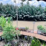 Bán đất vườn 4200m² có nhà ở tại Bến Tre - Ảnh thu nhỏ 4