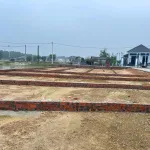 Đất chính chủ cạnh đường ven biển 60m trung tâm xã Nam Cửa Việt 113m2 - Gần biển, giá tốt 450 triệu - Ảnh thu nhỏ 13