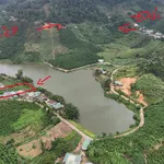 Bán đất Đạm Rông 1 Lâm Đồng 8000m2, 2 tỷ 250 triệu - Ảnh thu nhỏ 3