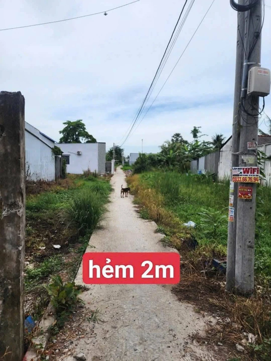 Bán nền đất vườn mặt tiền Lộ Đạl 15x35m Vĩnh Long, 650 triệu - Ảnh thu nhỏ 3