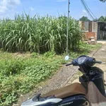 Bán đất nông nghiệp 6x17m hẻm 35 Tạ Quang Bửu, giá 250 triệu - Ảnh thu nhỏ 1