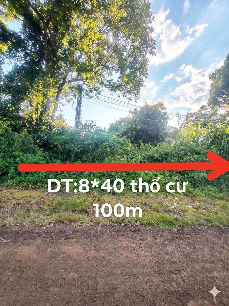 Bán đất mặt tiền 8×40m 800 triệu Gia Nghĩa, Lâm Đồng - Ảnh 1